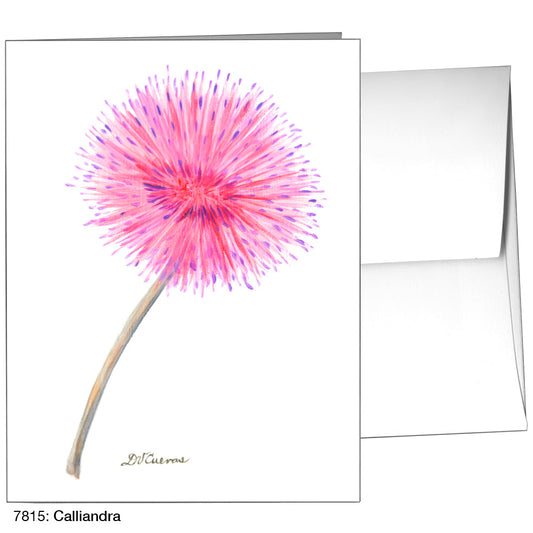 Calliandra, Greeting Card (7815A), A2, printedcanvas.com