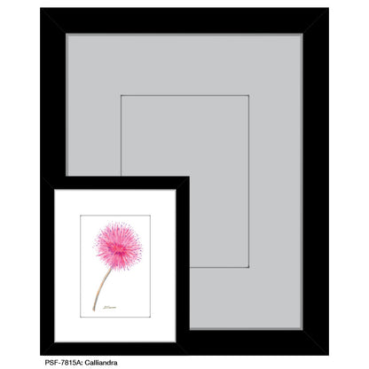 Calliandra, Print (#7815A) - Printed Canvas