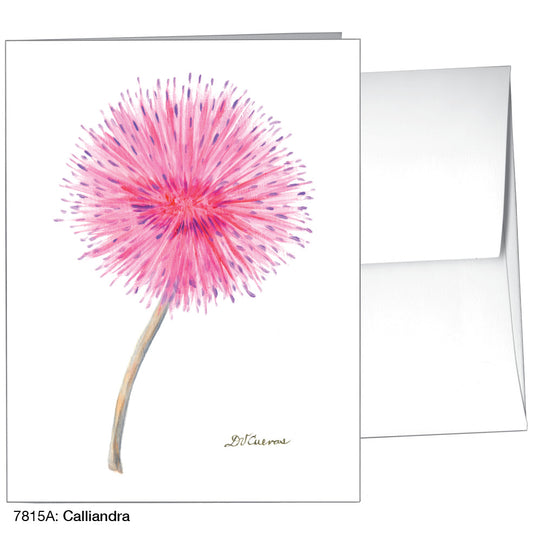 Calliandra, Greeting Card (7815A)