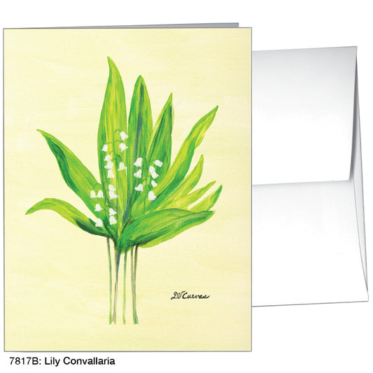 Lily Convallaria, Greeting Card (7817B) - Printed Canvas