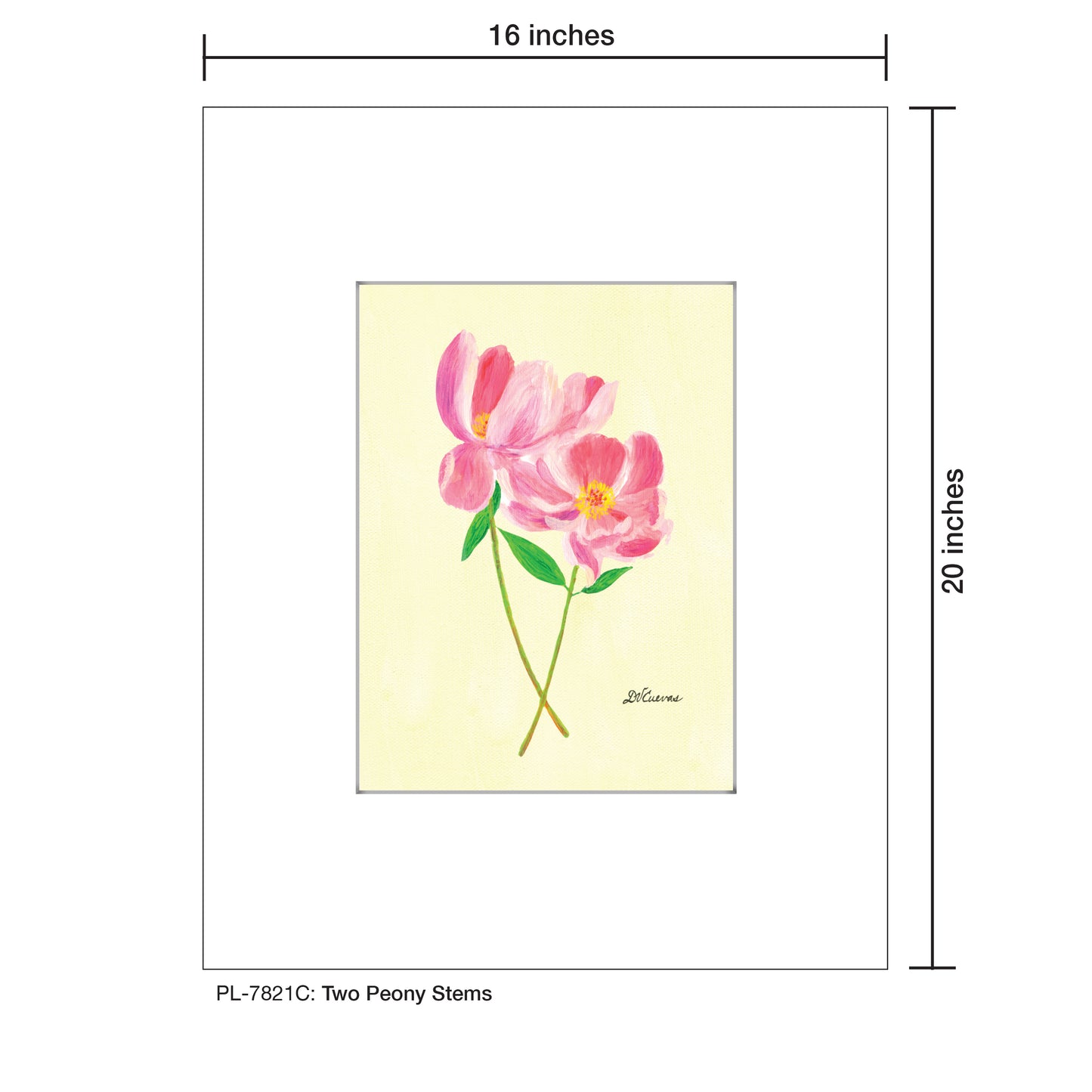 Two Peony Stems, Print (#7821C)