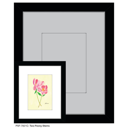 Two Peony Stems, Print (#7821C)