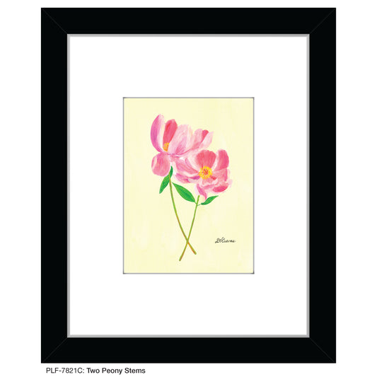 Two Peony Stems, Print (#7821C)