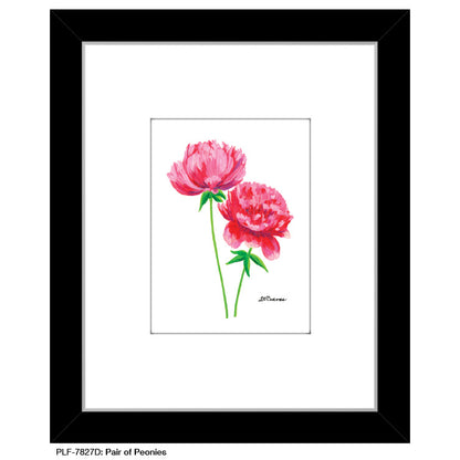 Pair of Peonies, Print (#7827D), Print Matted, www.printedcanvas.com