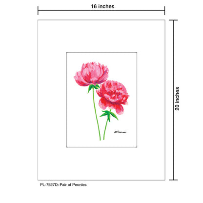 Pair of Peonies, Print (#7827D), Printe Matted, www.printedcanvas.com