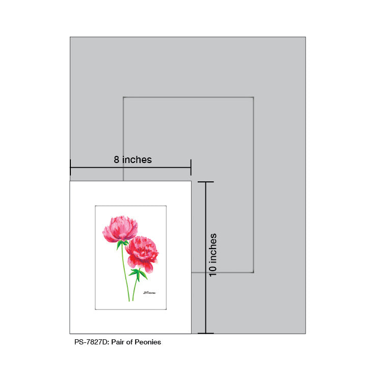 Pair of Peonies, Print (#7827D), Print Matted, www.printedcanvas.com