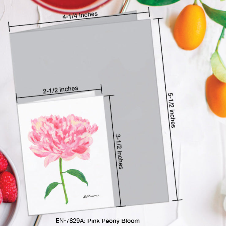 Pink Peony Bloom, Greeting Card (7829A), Enclosure Card, www.printedcanvas.com