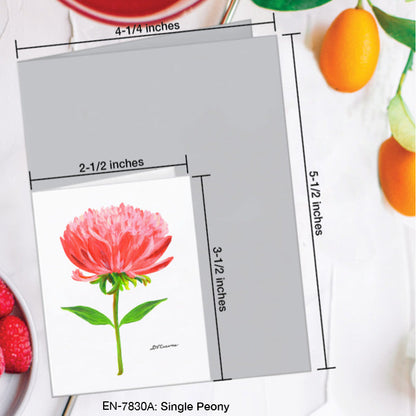 Single Peony, Greeting Card (7830A), Enclosure Card, www.printedcanvas.com