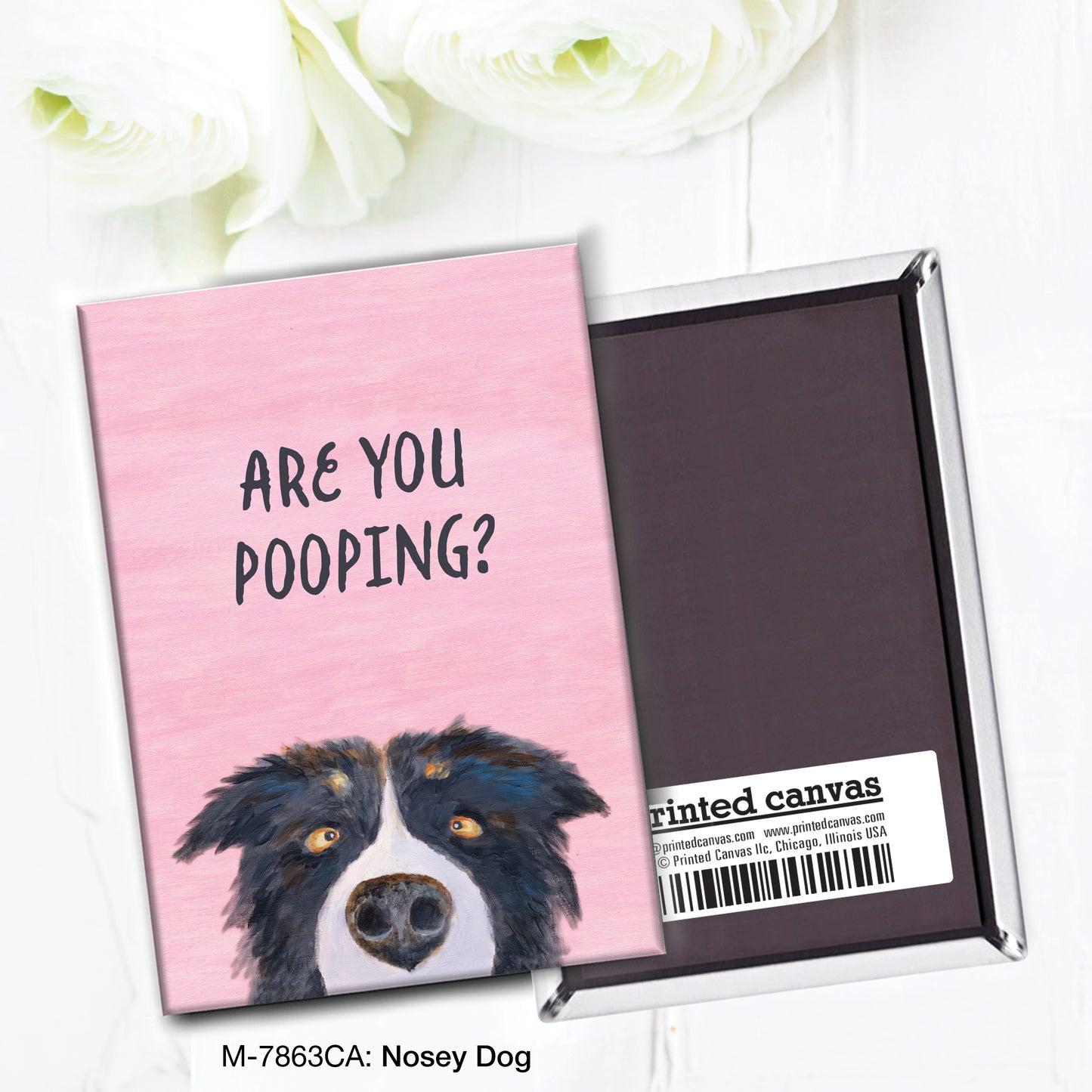 Nosey Dog, Magnet (M-7863CA)