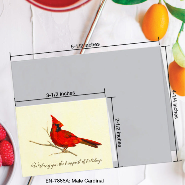 Male Cardinal, Greeting Card (7866A), Enclosure Card, www.printedcanvas.com