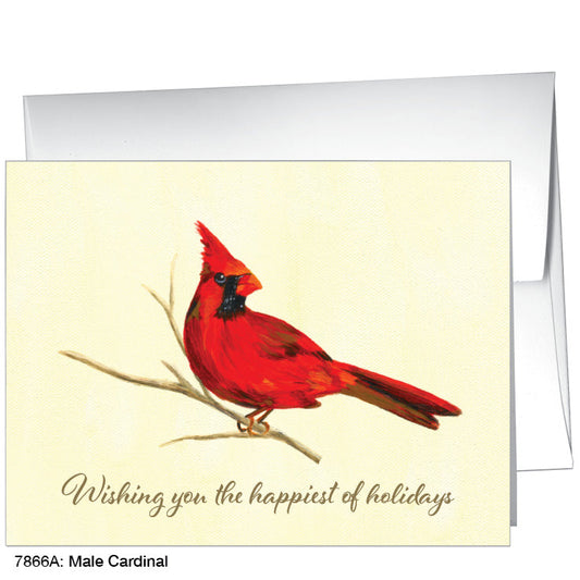 Male Cardinal, Greeting Card (7866A)