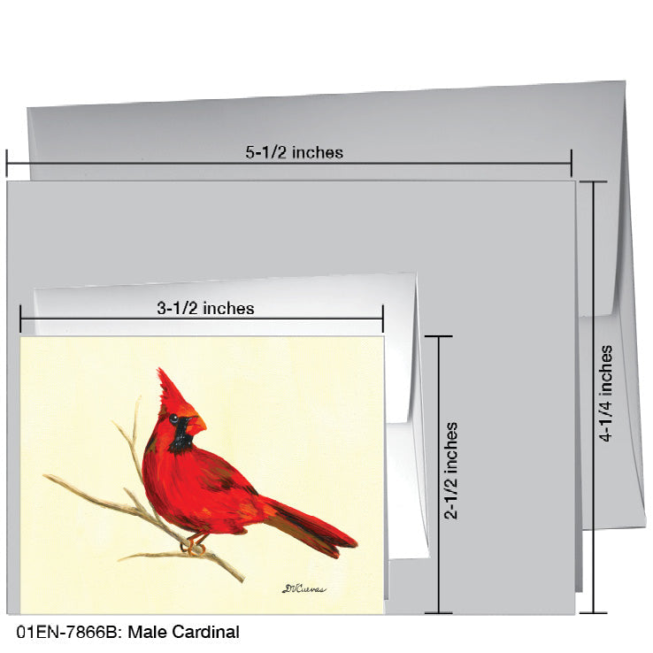 Male Cardinal, Greeting Card (7866B), Enclosure Card, www.printedcanvas.com
