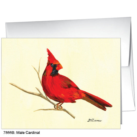 Male Cardinal, Greeting Card (7866B)