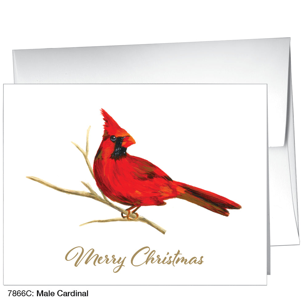 Male Cardinal, Greeting Card (7866C), A2, printedcanvas.com