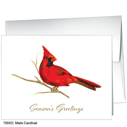 Male Cardinal, Greeting Card (7866D), A2, printedcanvas.com