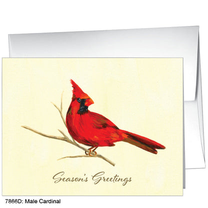 Male Cardinal, Greeting Card (7866D), A2 Card, www.printedcanvas.com
