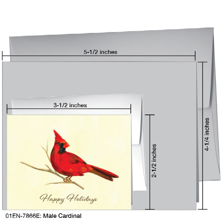 Male Cardinal, Greeting Card (7866E), Enclosure Card, www.printedcanvas.com