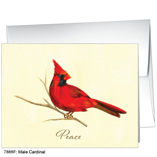 Male Cardinal, Greeting Card (7866F), A2 Card, printedcanvas.com