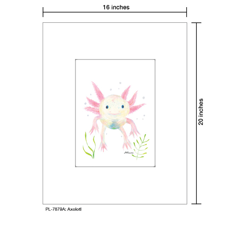 Axolotl, Print (#7879A)
