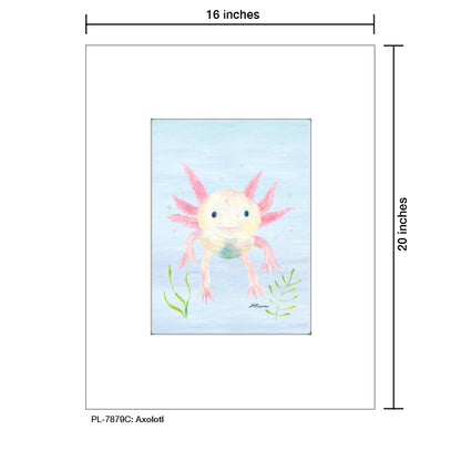 Axolotl, Print (#7879C)