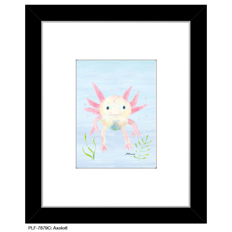 Axolotl, Print (#7879C)