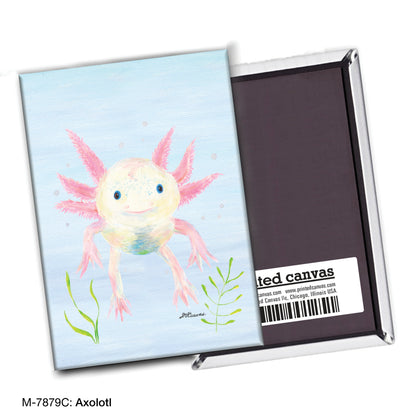 Axolotl, Magnet (M-7879C)