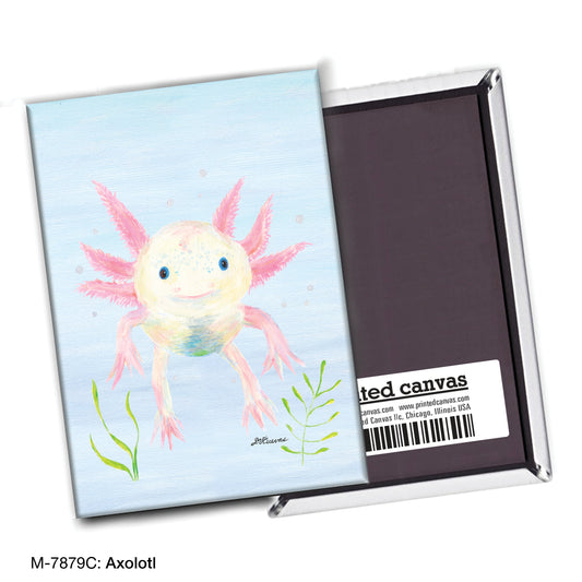 Axolotl, Magnet (M-7879C)