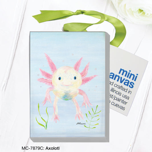 Axolotl, Mini Canvas (MC-7879C)