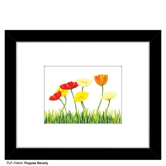 Poppies Beverly, Print (#7886A)
