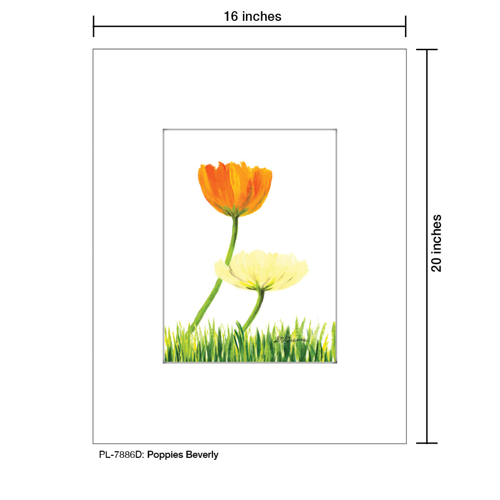 Poppies Beverly, Print (#7886D)