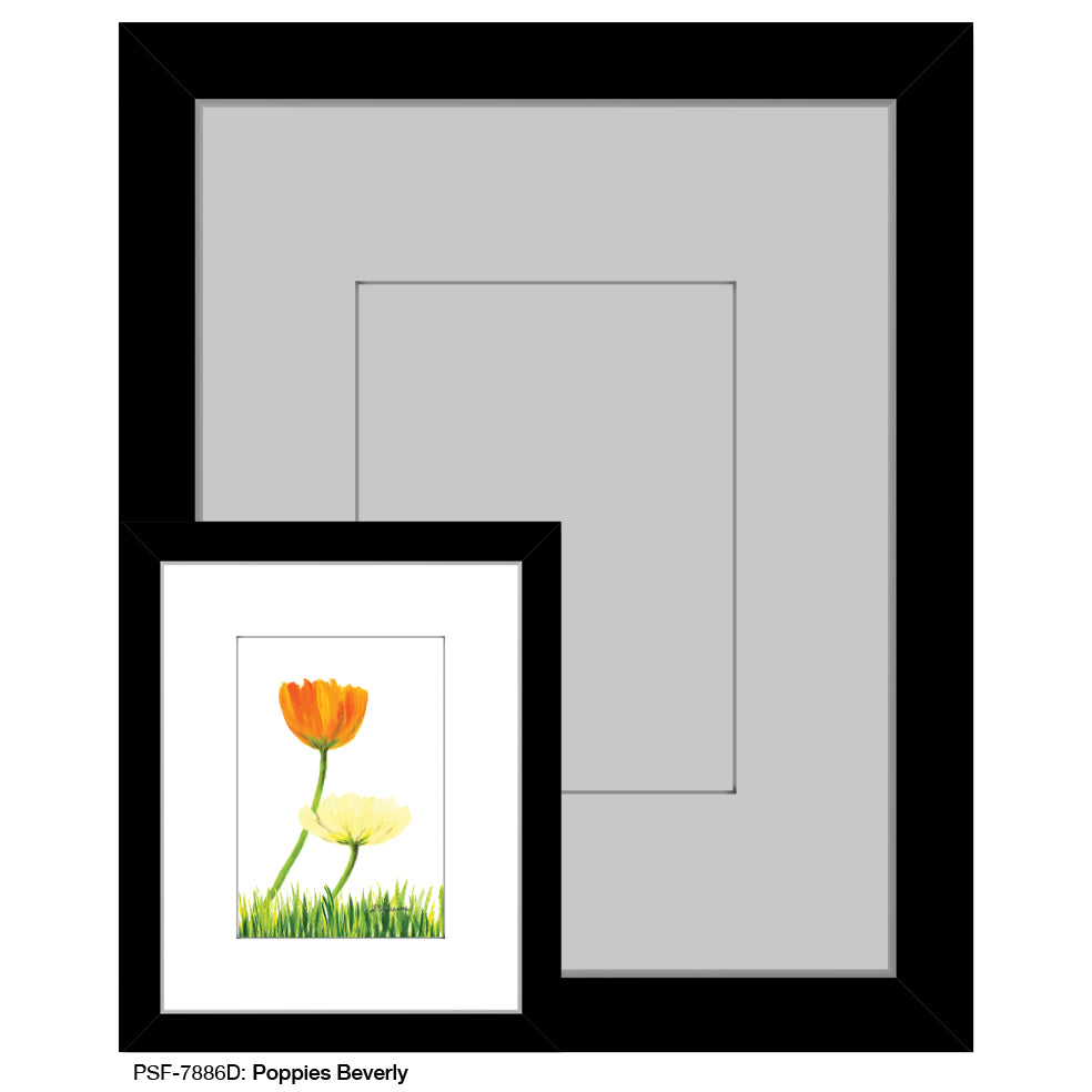 Poppies Beverly, Print (#7886D)