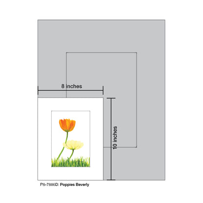 Poppies Beverly, Print (#7886D)