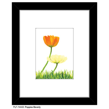 Poppies Beverly, Print (#7886D)