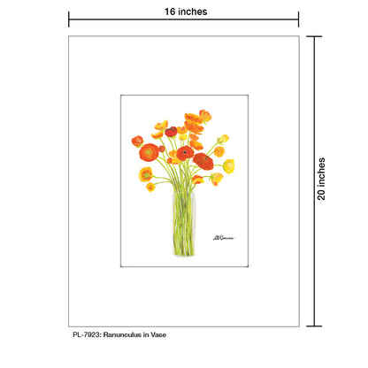 Ranunculus in Vase, Print (#7923A), Printe Matted, www.printedcanvas.com