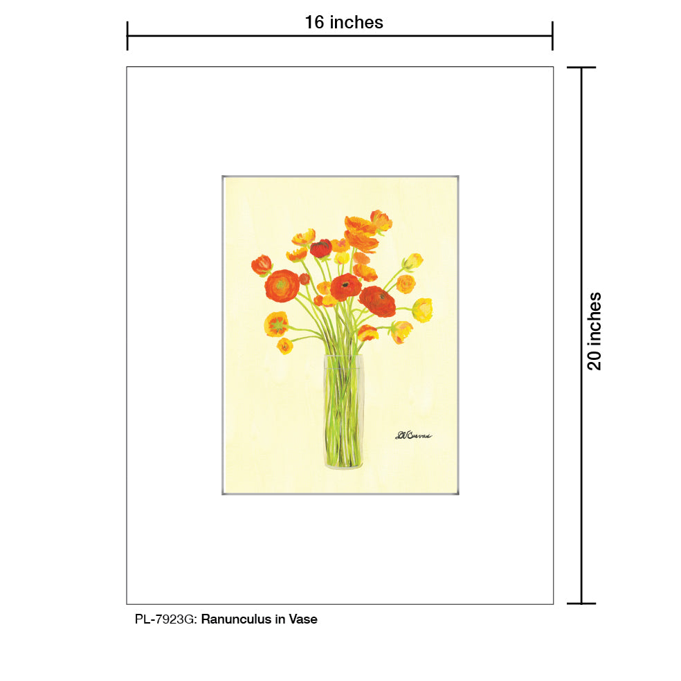 Ranunculus in Vase, Print (#7923G)