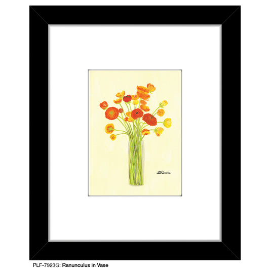 Ranunculus in Vase, Print (#7923G)