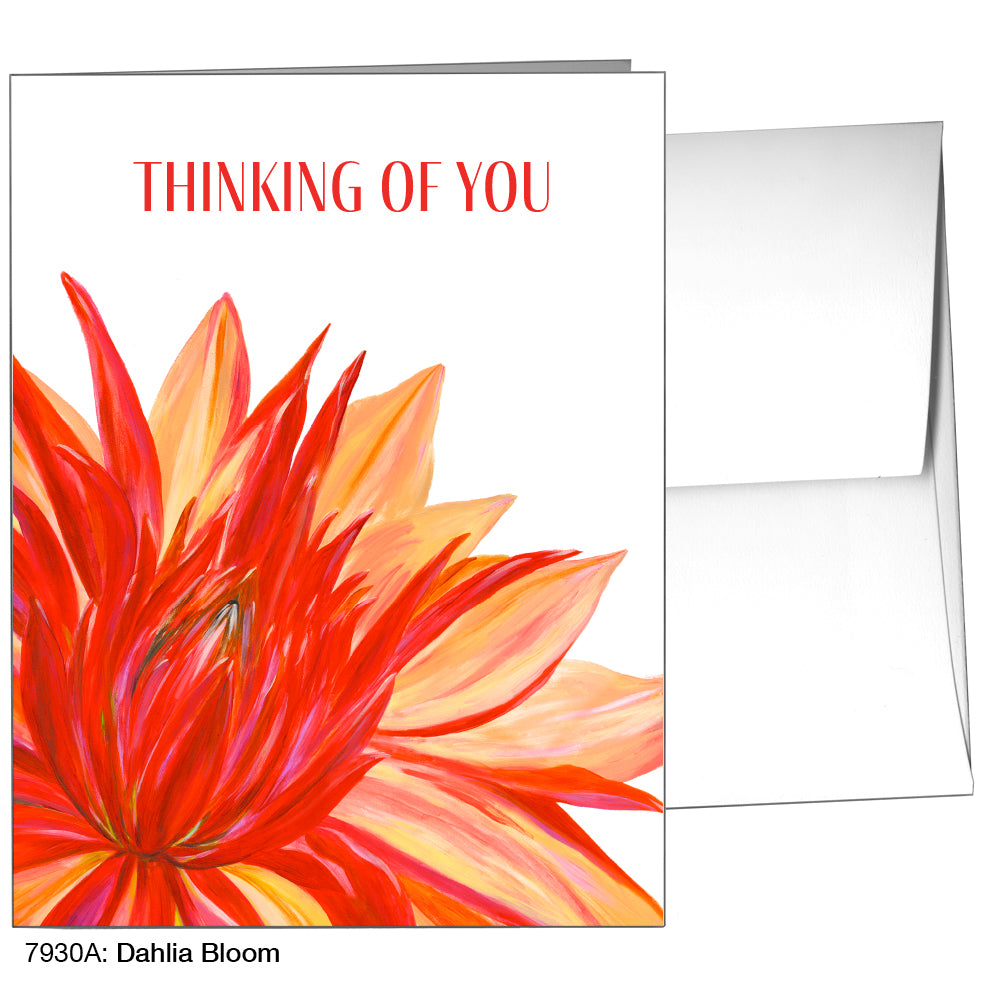 Dahlia Bloom, Greeting Card (7930A)