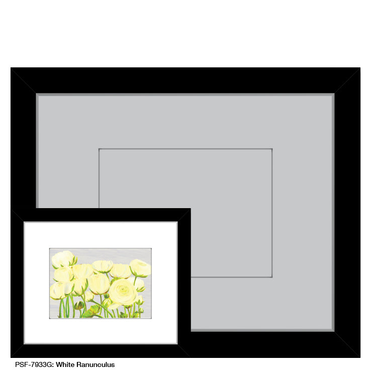 White Ranunculus, Print (#7933G)