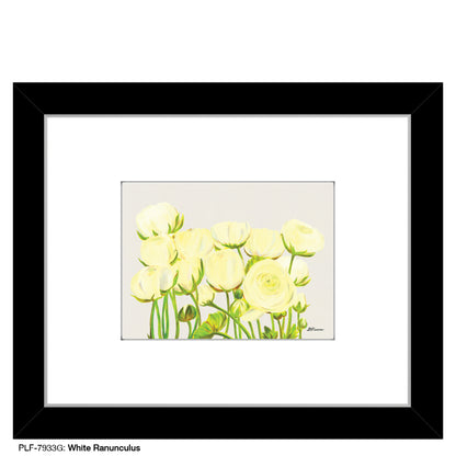 White Ranunculus, Print (#7933G)