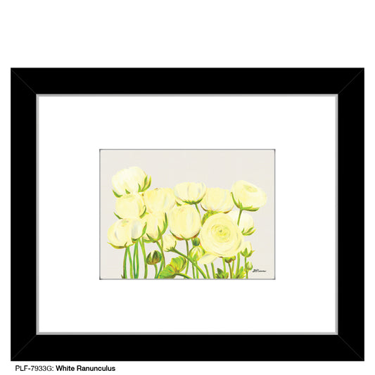 White Ranunculus, Print (#7933G)