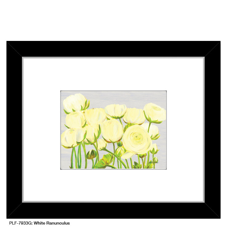 White Ranunculus, Print (#7933G)