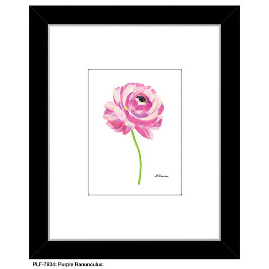 Purple Ranunculus, Print (#7934A), Print Matted, www.printedcanvas.com