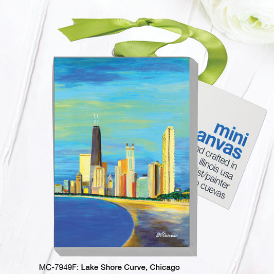 Lake Shore Curve, Chicago, Mini Canvas (MC-7949F), Front, printedcanvas.com