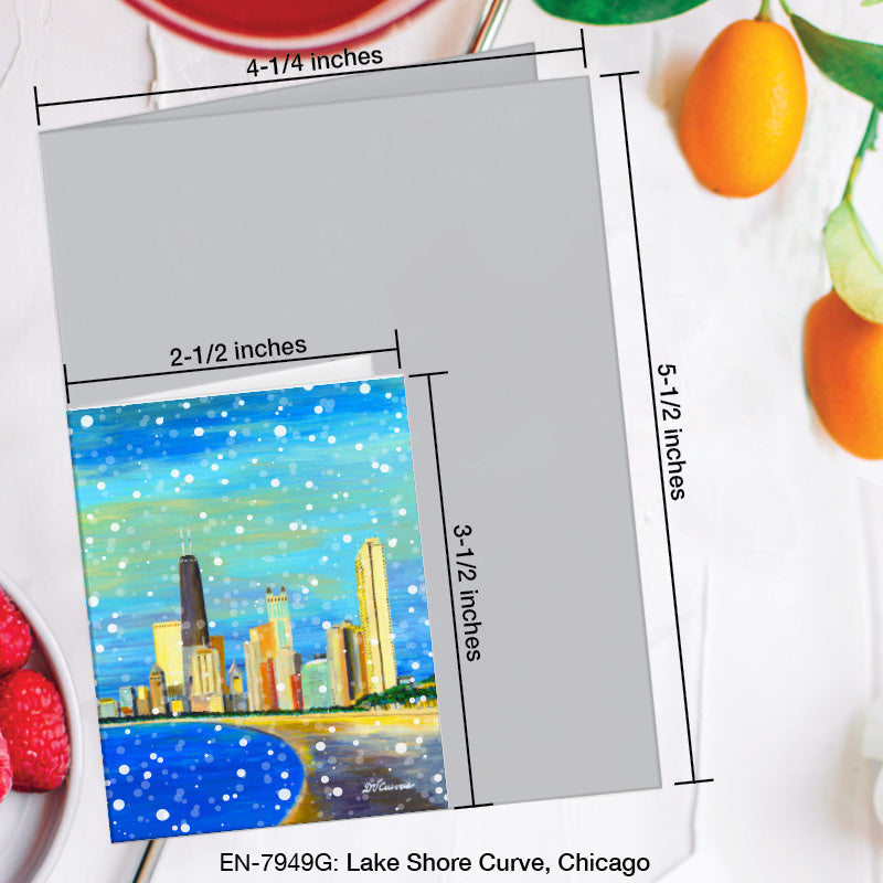 Lake Shore Curve, Chicago, Greeting Card (7949G), Enclosure Card, www.printedcanvas.com