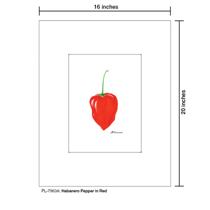 Habanero Pepper in Red, Print (#7963A)
