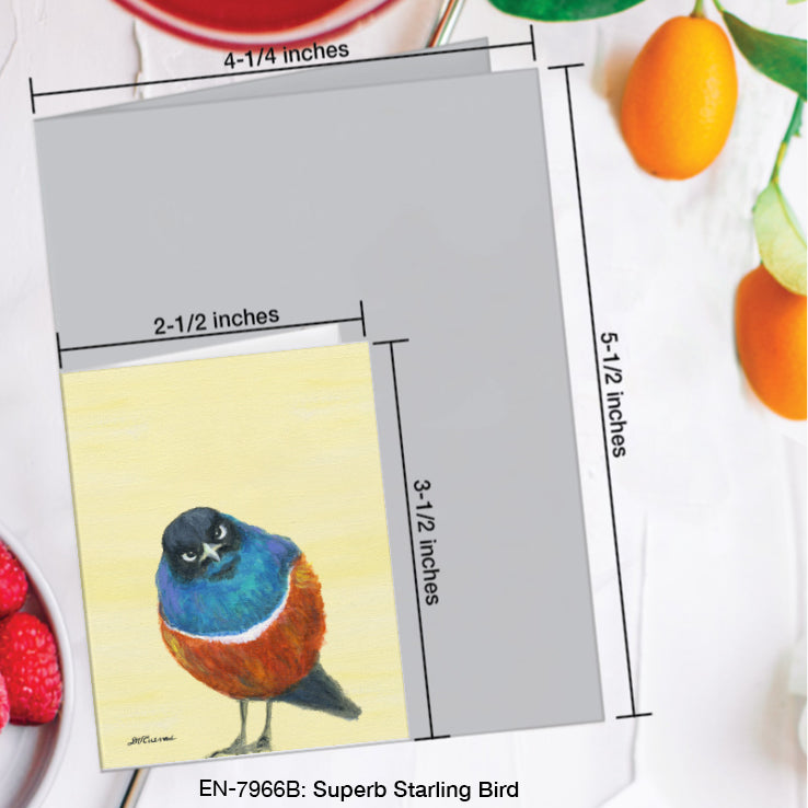 Superb Starling Bird, Greeting Card (#7966B)