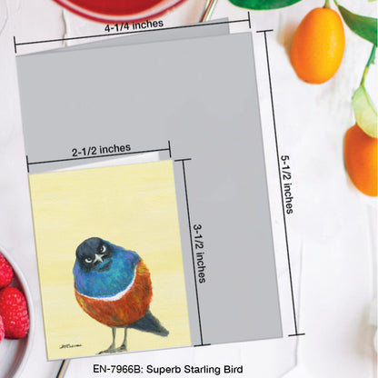 Superb Starling Bird, Greeting Card (#7966B)
