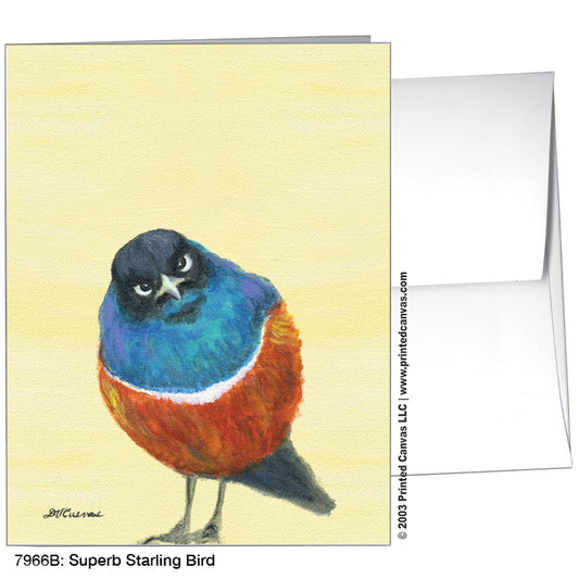 Superb Starling Bird, Greeting Card (#7966B)