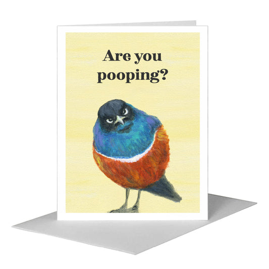Superb Starling Bird, Greeting Card (#7966C) A2 Card Front, www.printedcanvas.com