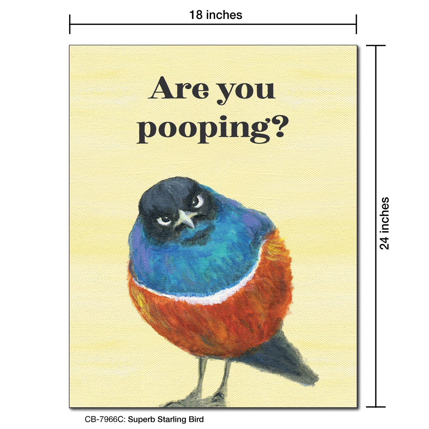 Superb Starling Bird, Card Board (7966C)